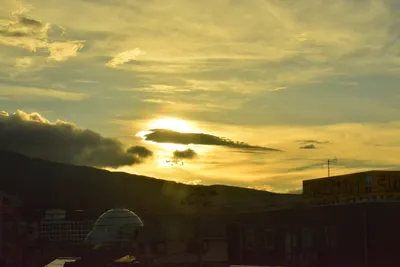 DSC_3791 (Large).JPG